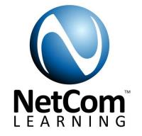 Netcom Learning image 1